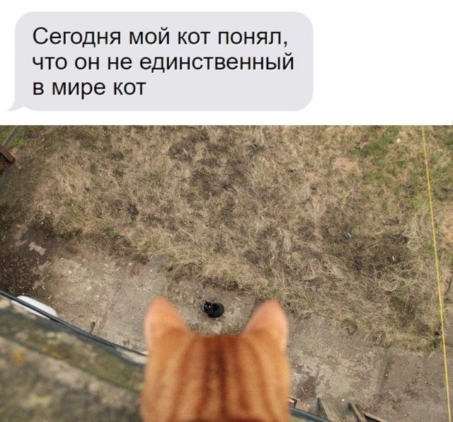 Картинки и мемы для настроения - 123