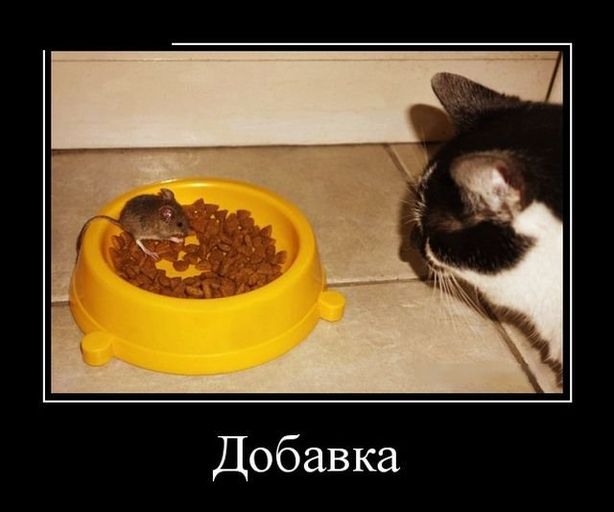 Псто с картинками