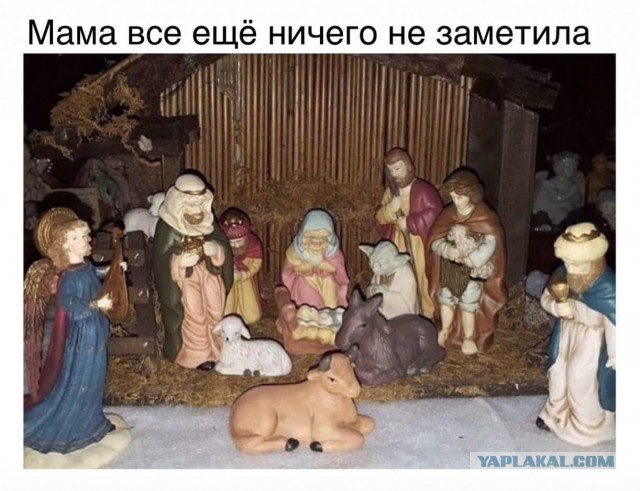 Так себе картинки 25.01.2023