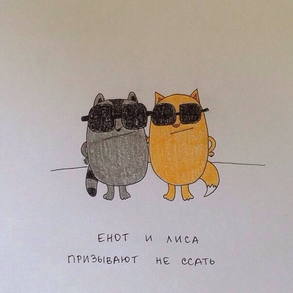 Бар который открыл барсук