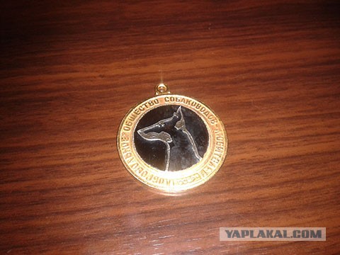 Такая вот дружба