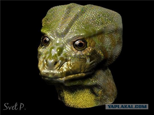 У гроба Папы Иоанна Павла II