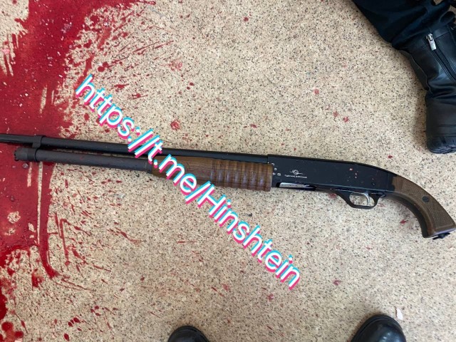 Школьница устроила стрельбу в брянской школе