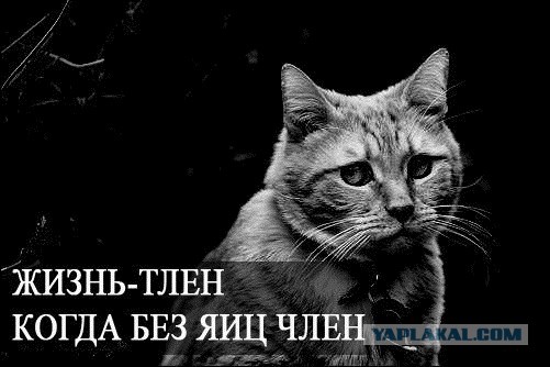 А что если?