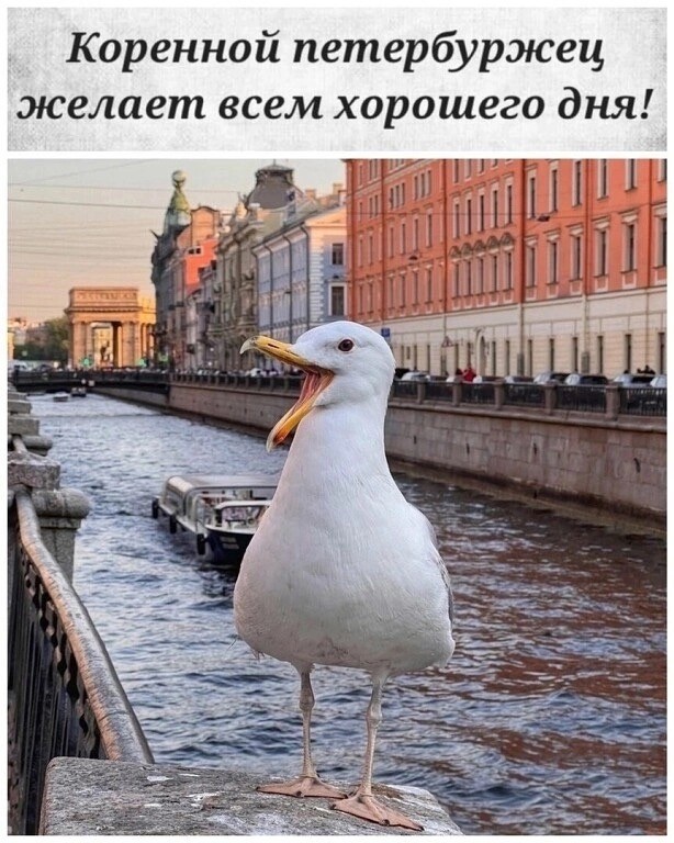 ТРРРидцать тРРРи от 7 мая