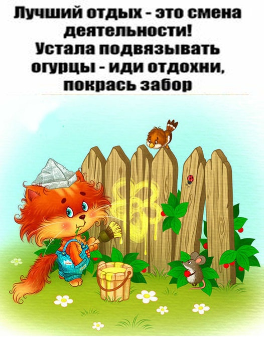 Так себе картинки 05.06.24