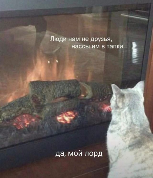 Завалялось тут случайно немного забавных картинок