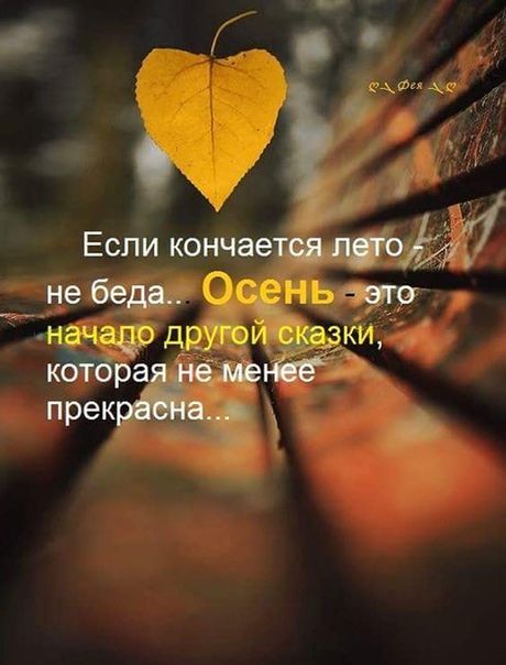 Прикольные и просто красивые картинки 27.09.2024