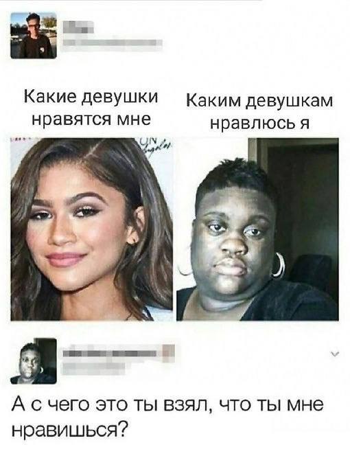 Весёлый полтишок 27.09.24