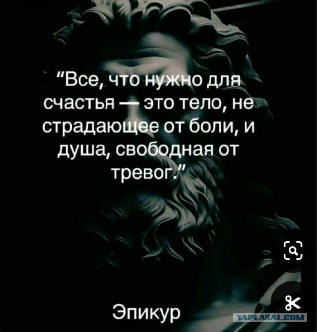 Прикольные и просто красивые картинки 24.12.2024