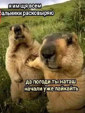 А когда будет восстание машин?