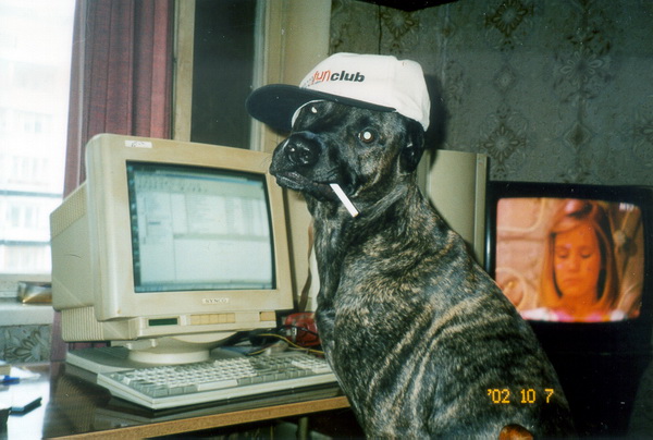 Фотаемся на объявление