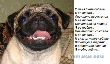 Бусинка