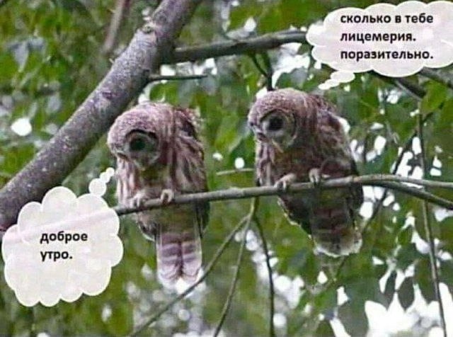 Хорошо, когда отдохнул на природе