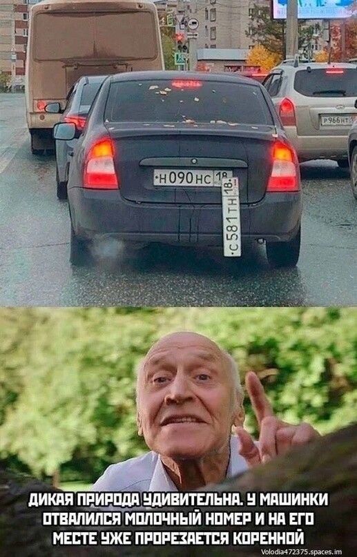 Так себе картинки 10.07.25