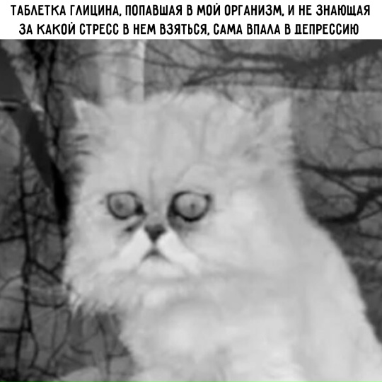 К котовторнику: подборка картинок-баянов с котиками и про котиков. Выпуск 19.