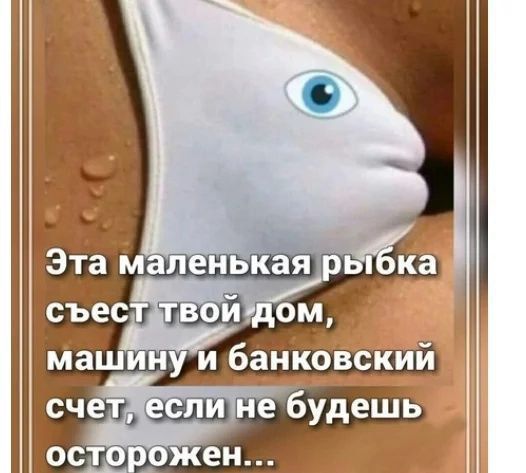 Пятничные бояны