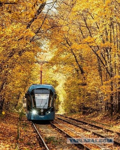 Прикольные и просто красивые картинки 24.10.2025