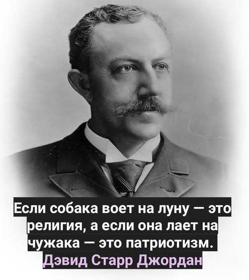 Веселые картинки в маленькую пятницу (03.12)