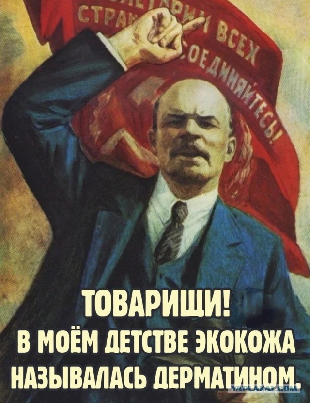 Субботние картинки