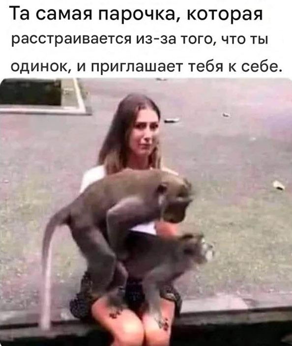 Картинки для деградации 202 (разной степени свежести)