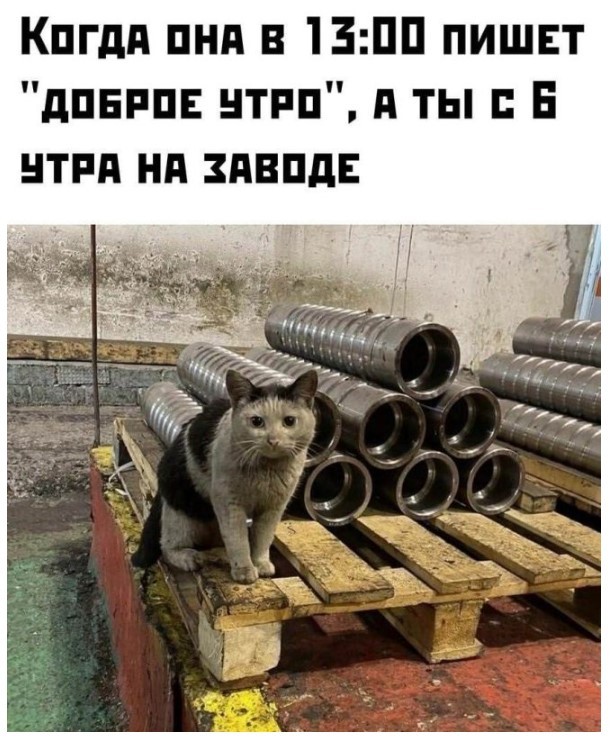 Картиночки, баянчики 03 июня