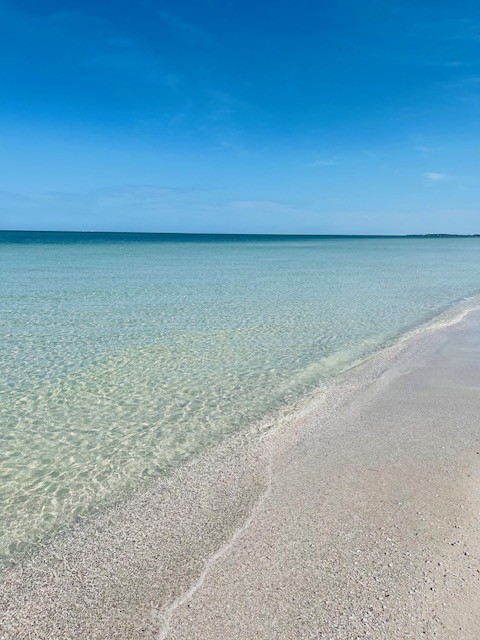 Волшебная встреча у воды