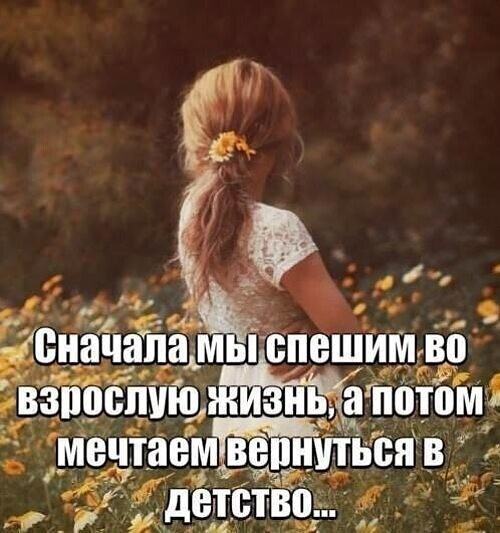 «Пролетела»