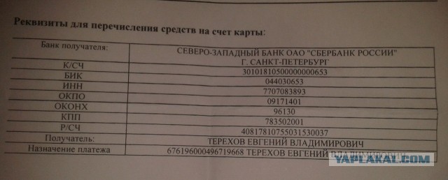 Три маленьких котенка ждут помощи!