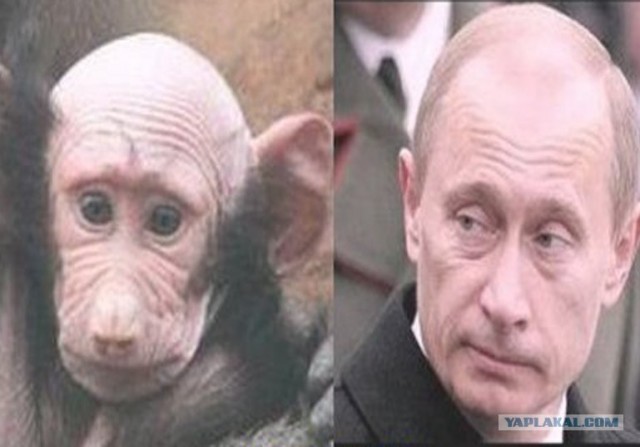 День Рождения Путина