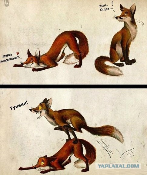 Подборка забавных и курьезных фотографий