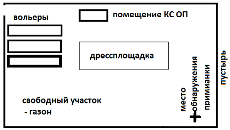 Бродячая опасность