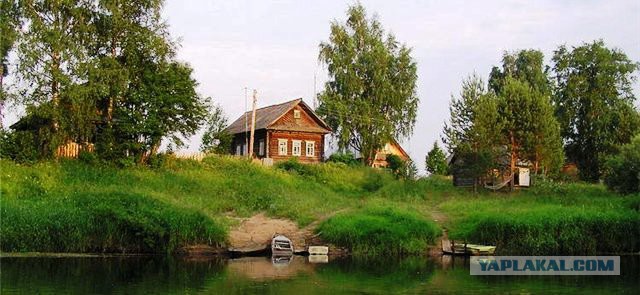 Программист Иван в деревне. Размышления.