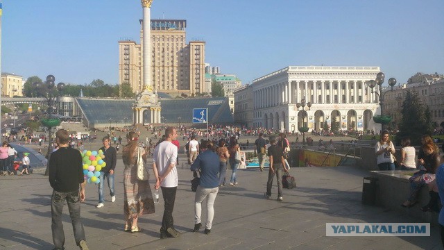 Новое. На Майдане всё спокойно-подоспел урожай.