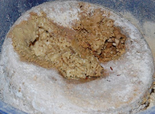 Топ-10 самых вкуснейших сыров в мире