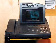 Год одна тысяча девятьсот восьмидесятыый