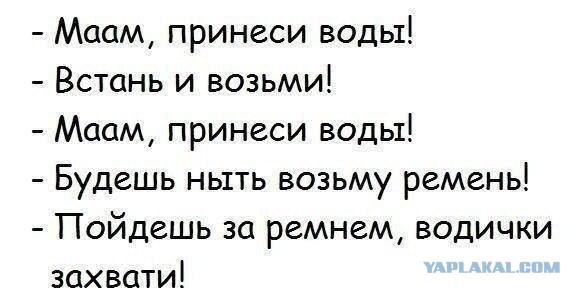 Комментарии из соцсетей на воскресенье