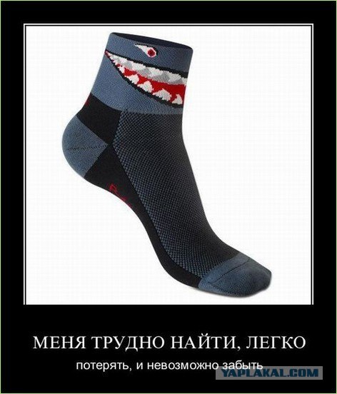 Твой лучший друг