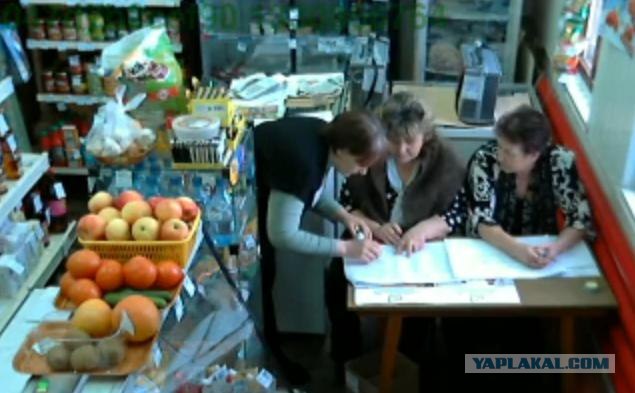 Веб-камеры на избирательных участках