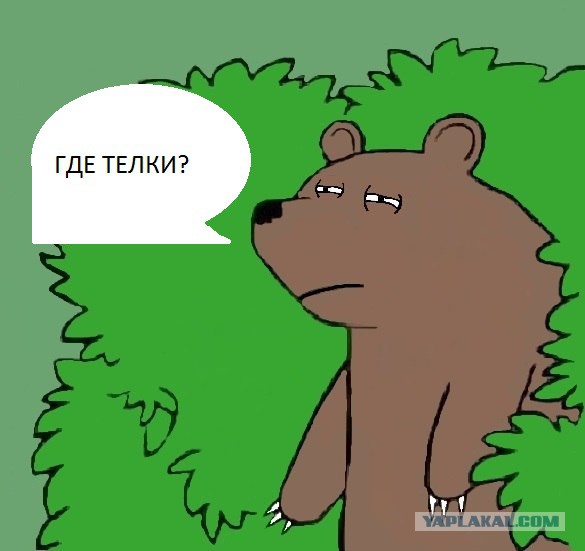 Питер дает мощный ответ московским Хищникам
