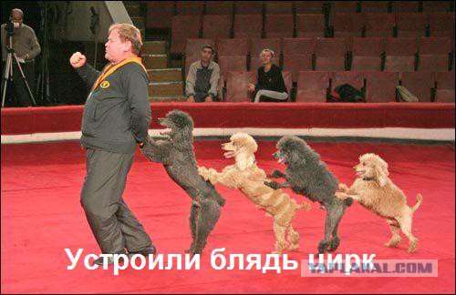 Страницу геращенко