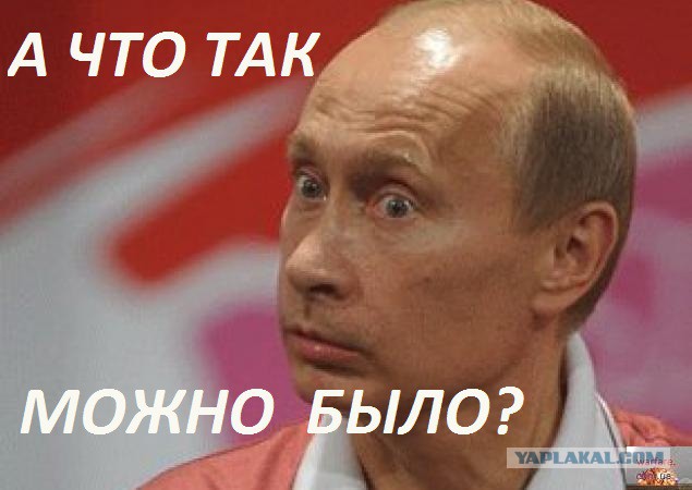Вот гады!