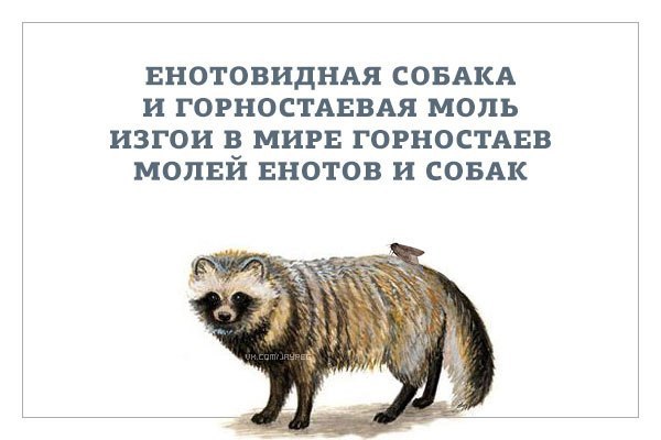 Картинки с просторов на четверг