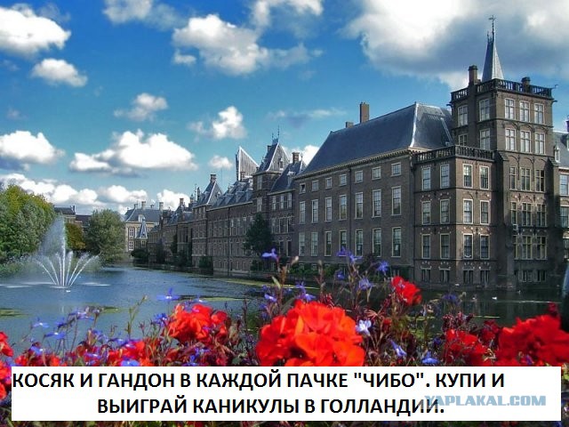 4 часа в Амстердаме