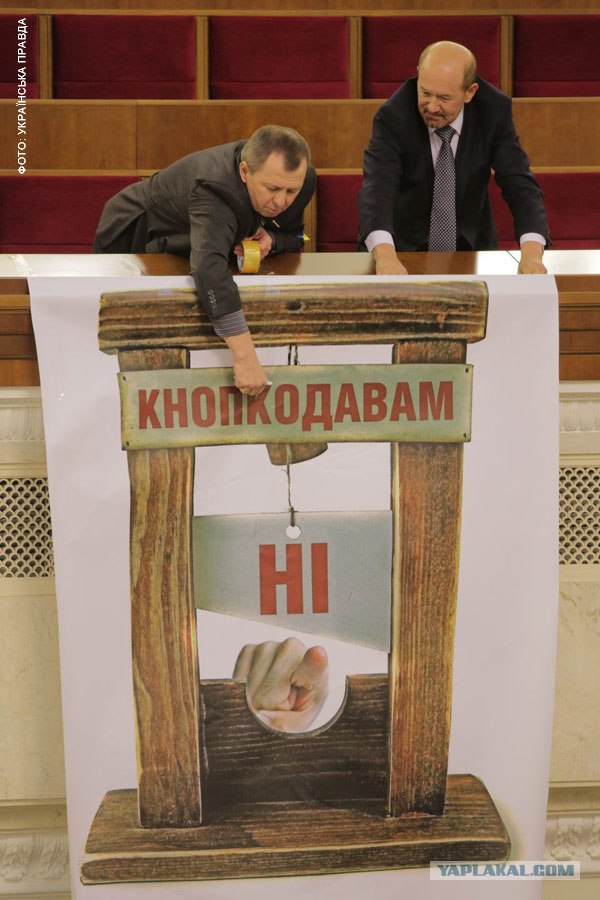 Кнопкодавы