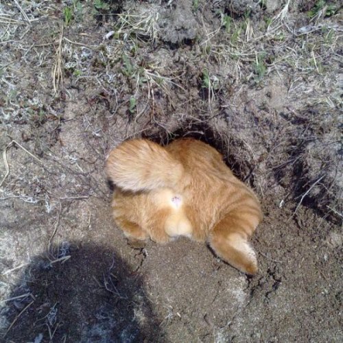 В погоне за ЮКой