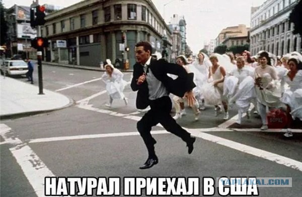 Веселые картинки
