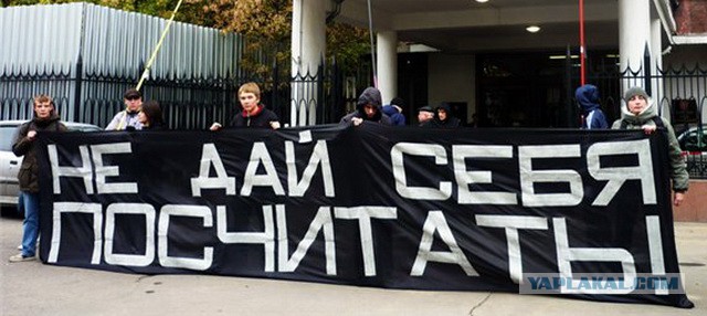 Как весь мир смотрел порно в 2015