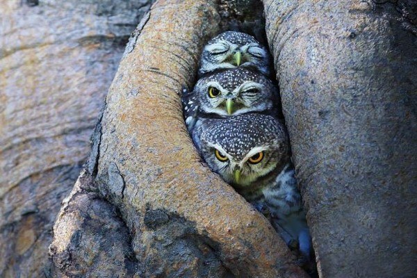 Моменты, запечатлённые на фото и просто позитив