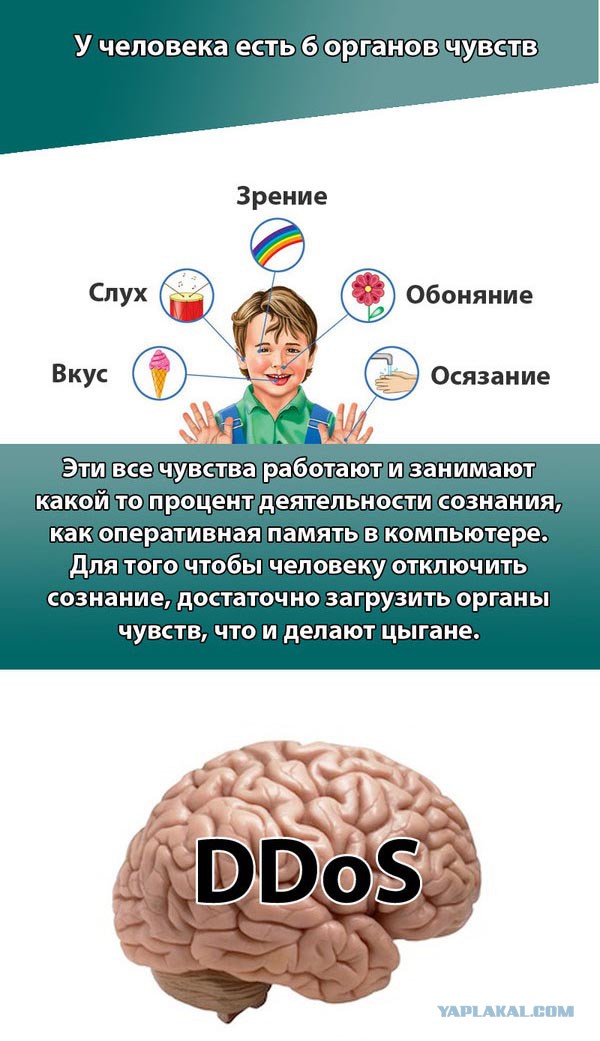 Украинская "Рублёвка" для цыган